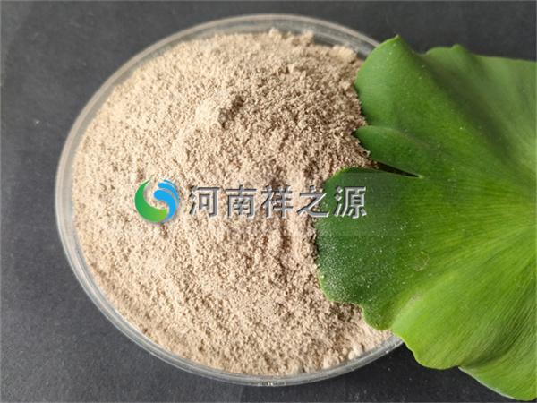 �Rʏ�������������N��