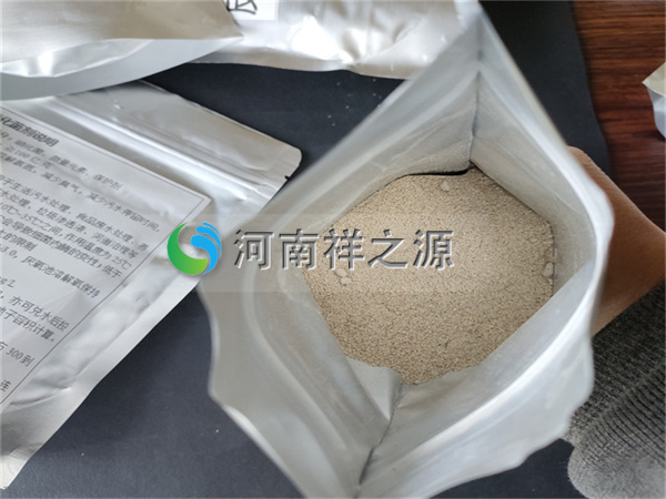 �Rʏ�������Ͷ����