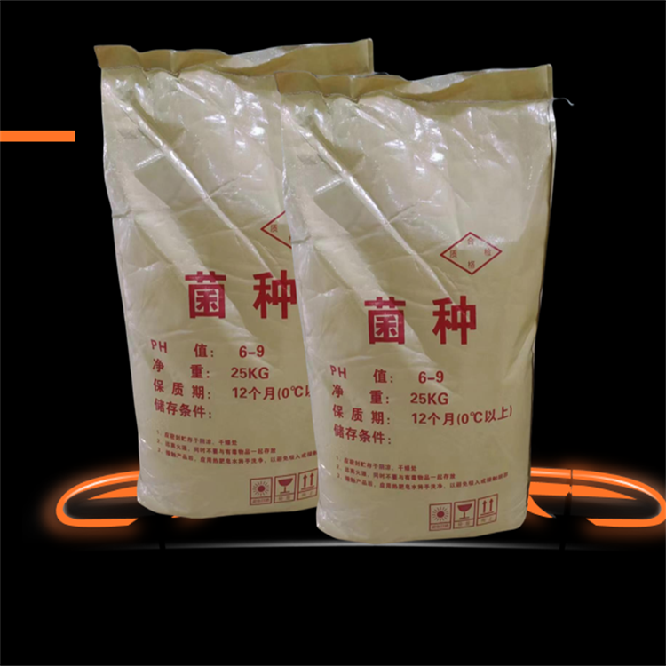 �������DƬ